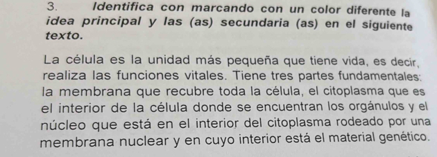 Identifica con marcando con un color diferente la 
idea principal y las (as) secundaria (as) en el siguiente 
texto. 
La célula es la unidad más pequeña que tiene vida, es decir, 
realiza las funciones vitales. Tiene tres partes fundamentales: 
la membrana que recubre toda la célula, el citoplasma que es 
el interior de la célula donde se encuentran los orgánulos y el 
núcleo que está en el interior del citoplasma rodeado por una 
membrana nuclear y en cuyo interior está el material genético.