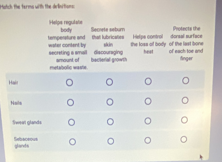 Match the terms with the defnitions: