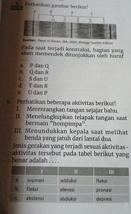 Perhatikan gambar berikut!
HOTS
H. Raven, dkk, 2020, Biology Twelfth Edition
Pada saat terjadi kontraksi, bagian yang
akan memendek ditunjukkan oleh huruf
a. P dan Q
b. Q dan R
c. S dan U
d. T dan R
e. U dan P
9. Perhatikan beberapa aktivitas berikut!
I. Merentangkan tangan sejajar bahu.
II. Menelungkupkan telapak tangan saat
bermain "hompimpa”.
III. Menundukkan kepala saat melihat
benda yang jatuh dari lantai dua.
Jenis gerakan yang terjadi sesuai aktivitas-
aktivitas tersebut pada tabel berikut yang
benar adalah . . . .