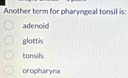 Another term for pharyngeal tonsil is:
adenoid
glottis
tonsils
oropharynx