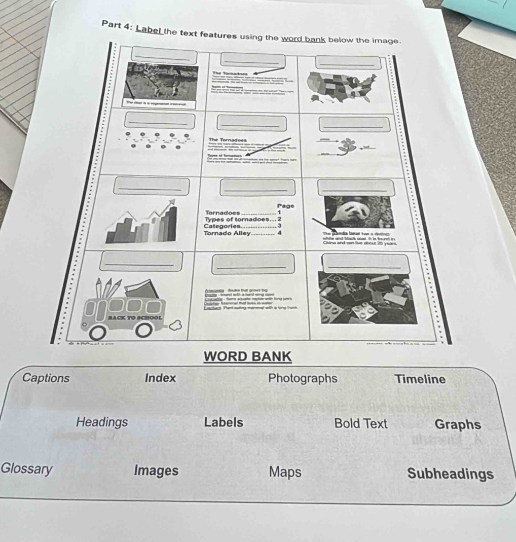 Label the text features using the word bank below the image. 
_ 
_ 
_ 
The Tornadoes 
o 
The deer is a vogetarian inamnal 
_ 
_ 
_ 
The Tornadoes ____ 
___ Typres of Tomadoes 
_ 
__ 
Page 
Tornadoes _1 
Types of tornadoes...2 
Categories.. 3 
Tornado Alley_ 4 The panda bear has a distinc 
white and black cost. It is found in 
China and can live about 20 years. 
_ 
_ 
_ 
Snakn that grows big 
Seme aquahc reptee with long saws 
Pant eating mammal with a song tronk 
OOL 
WORD BANK 
Captions Index Photographs Timeline 
Headings Labels Bold Text Graphs 
Glossary Images Maps Subheadings