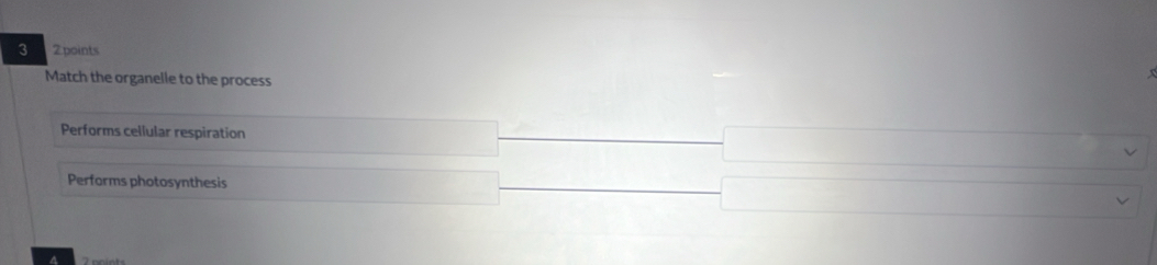 3 2points
Match the organelle to the process
Performs cellular respiration
Performs photosynthesis