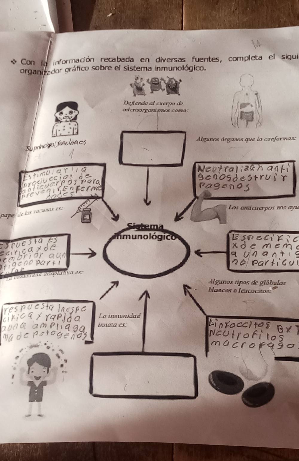 Con la información recabada en diversas fuentes, completa el sigui 
organizador gráfico sobre el sistema inmunológico. 
Defendo al cuerpo de 
microorganismos como: 
Algunas órganos que lo conforman: 
stimular G 
Neutrallzah ant 
duecion 
cnosdestruir 
r os pa r 
Pagenos 
papal de las vacuñas es: 
Los antícuerpos nos ayu 
Ema 
nmuno lógico 
sruestaes 
ecricayd 
cabriar a 
La ielniniau delpativa est 
Algunos tipos de glóbulos 
Manços o leucocitos: 
epUCSIqIese 
La inmnudad 
A XYAPIe Dinro 
á m G énría es: 
hilos 
a