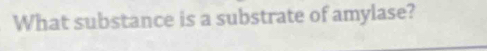 What substance is a substrate of amylase?