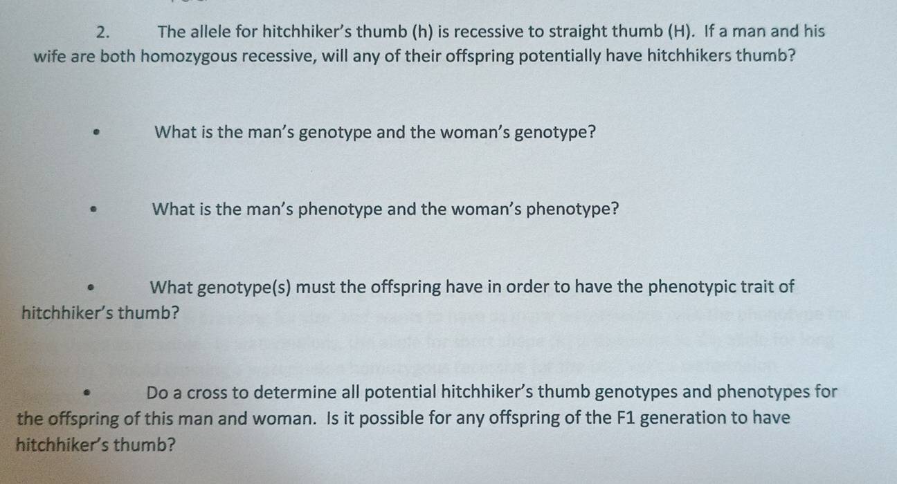 The allele for hitchhiker’s thumb (h) is recessive to straight thumb (H). If a man and his 
wife are both homozygous recessive, will any of their offspring potentially have hitchhikers thumb? 
What is the man's genotype and the woman's genotype? 
What is the man's phenotype and the woman's phenotype? 
What genotype(s) must the offspring have in order to have the phenotypic trait of 
hitchhiker's thumb? 
Do a cross to determine all potential hitchhiker’s thumb genotypes and phenotypes for 
the offspring of this man and woman. Is it possible for any offspring of the F1 generation to have 
hitchhiker's thumb?