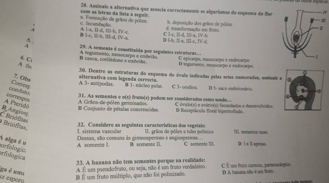 ntas da outra espécie.
28. Assinale a alternativa que associa correctamente os algarismos do esquema da flor
com as letras da lista a seguir.
IV
a. Formação de grãos de pólen. b. deposição dos grãos de pólen.
c. fecundação. d. transformação em fruto.
A A I-a, II-d, III-b, IV-c. C I-c, II-d, III-a, IV-b.
B I-c, II-b, III-d, IV-a. D I-b, II-a, III-c, IV-d.
5. .
A
29. A semente é constituída por seguintes estruturas…
A tegumento, mesocarpo e embrião.
6. C C epicarpo, mesocarpo e endocarpo
B casca, cotilédone e embrião. D tegumento, mesocarpo e endocarpo.
A fe
30. Dentre as estruturas do esquema do óvulo indicadas pelas setas numeradas, assinale a
7. Obs
alternativa com legenda correcta.
Corresp
A 3- antípodas. B 1- núcleo polar. C 3- oosfera. D 5- saco embrionário.
conduto 
correspol
31. As sementes e o(s) fruto(s) podem ser considerados como sendo...
A Pteridó
A Grãos-de-pólen germinados. C óvulo(s) e ovário(s) fecundados e desenvolvidos.
B Conjunto de pétalas concrescidas. D Receptáculo floral hipertrofiado.
B Angiosp
C Briófitas
32. Considere as seguintes características dos vegetais:
Briófitas,
I. sistema vascular II. grãos de pólen e tubo polínico III. sementes nuas.
Dessas, são comuns às gimnospermas e angiospermas...
A alga é u
A somente I. B somente II. C somente III. D I e Ⅱ apenas.
orfologic.
rfologica
33. A banana não tem sementes porque na realidade:
A É um pseudofruto, ou seja, não é um fruto verdadeiro. C É um fruto carnoso, partenocárpico.
ga é um² D A banana não é um fruto.
z esporo
B É um fruto múltiplo, que não foi polinizado.
a  p e lo ménos :