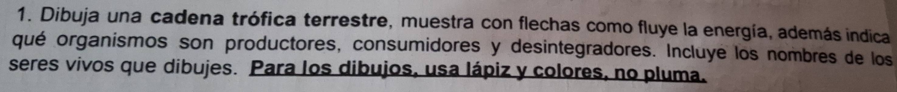 Dibuja una cadena trófica terrestre, muestra con flechas como fluye la energía, además indica 
qué organismos son productores, consumidores y desintegradores. Incluyé los nombres de los 
seres vivos que dibujes. Para los dibujos, usa lápiz y colores, no pluma.