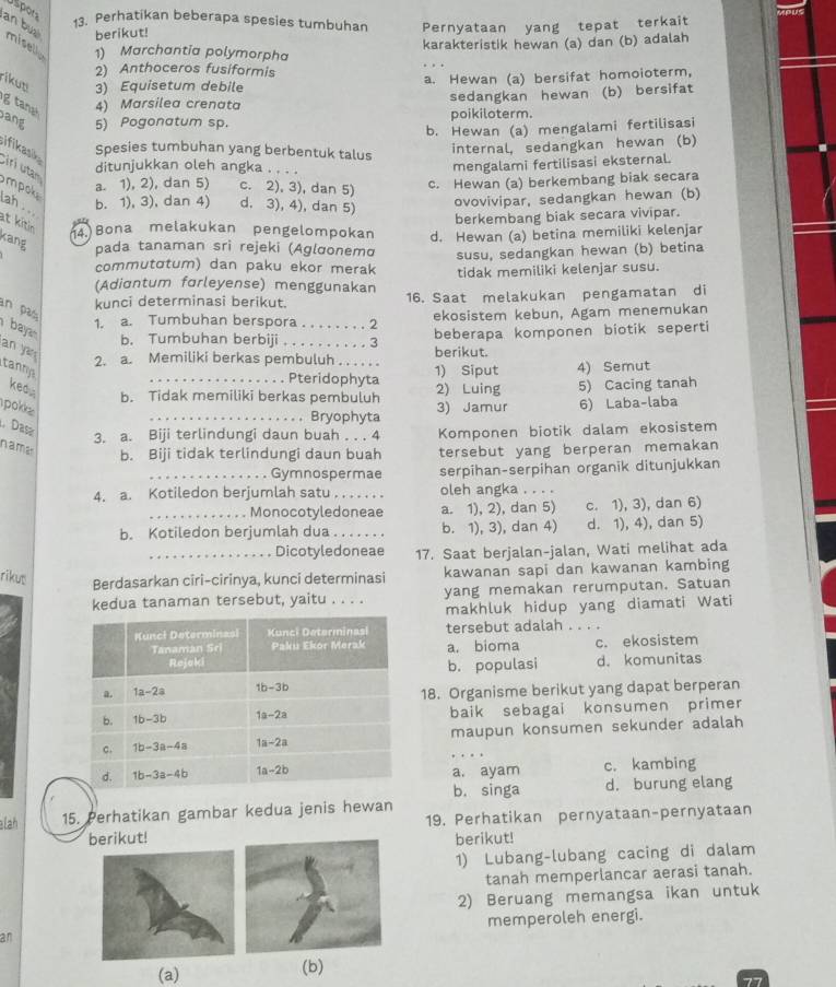 Uspora
an bu
13. Perhatikan beberapa spesies tumbuhan Pernyataan yang tepat terkait
berikut!
karakteristik hewan (a) dan (b) adalah
miselly 1) Marchantia polymorpha
2) Anthoceros fusiformis
rikun 3) Equisetum debile
a. Hewan (a) bersifat homoioterm,
tana
4) Marsilea crenata sedangkan hewan (b) bersifat
ang 5) Pogonatum sp. poikiloterm.
b. Hewan (a) mengalami fertilisasi
ifikasik
Spesies tumbuhan yang berbentuk talus
internal, sedangkan hewan (b)
iri utan
ditunjukkan oleh angka . . .
mengalami fertilisasi eksternal.
a. 1), 2), dan 5) c. 2), 3), dan 5) c. Hewan (a) berkembang biak secara
mpok ah . b. 1), 3), dan 4) d. 3), 4), dan 5)
ovovivipar, sedangkan hewan (b)
berkembang biak secara vivipar.
at kitin 4 Bona melakukan pengelompokan d. Hewan (a) betina memiliki kelenjar
rang
pada tanaman sri rejeki (Aglσonemɑ susu, sedangkan hewan (b) betina
commutσtum) dan paku ekor merak
(Adiɑntum forleyense) menggunakan tidak memiliki kelenjar susu.
kunci determinasi berikut. 16. Saat melakukan pengamatan di
in pas  baya
1. a. Tumbuhan berspora . . . . . . . . 2 ekosistem kebun, Agam menemukan
b. Tumbuhan berbiji . . . . .  . . .  3 beberapa komponen biotik seperti
an yan
2. a. Memiliki berkas pembuluh . . . . berikut.
tanny _1) Siput 4) Semut
_. Pteridophyta
kea 2) Luing 5) Cacing tanah
b. Tidak memiliki berkas pembuluh
pokke _3) Jamur 6) Laba-laba
. Bryophyta
. Dasa
3. a. Biji terlindungi daun buah . . . 4 Komponen biotik dalam ekosistem
nama tersebut yang berperan memakan
b. Biji tidak terlindungi daun buah
_Gymnospermae serpihan-serpihan organik ditunjukkan
4. a. Kotiledon berjumlah satu . . . . . . . oleh angka . . . .
_Monocotyledoneae a. 1), 2), dan 5) c. 1), 3), dan 6)
b. Kotiledon berjumlah dua_ b. 1), 3), dan 4) d. 1), 4), dan 5)
_. Dicotyledoneae 17. Saat berjalan-jalan, Wati melihat ada
rikus
Berdasarkan ciri-cirinya, kunci determinasi kawanan sapi dan kawanan kambing
kedua tanaman tersebut, yaitu . . . . yang memakan rerumputan. Satuan
makhluk hidup yang diamati Wati
tersebut adalah . . . .
a. bioma c. ekosistem
b. populasi d. komunitas
18. Organisme berikut yang dapat berperan
baik sebagai konsumen primer
maupun konsumen sekunder adalah
a. ayam c.kambing
b. singa d. burung elang
alah 15. Perhatikan gambar kedua jenis hewan
berikut! 19. Perhatikan pernyataan-pernyataan
berikut!
1) Lubang-lubang cacing di dalam
tanah memperlancar aerasi tanah.
2) Beruang memangsa ikan untuk
anmemperoleh energi.
(a) (b)