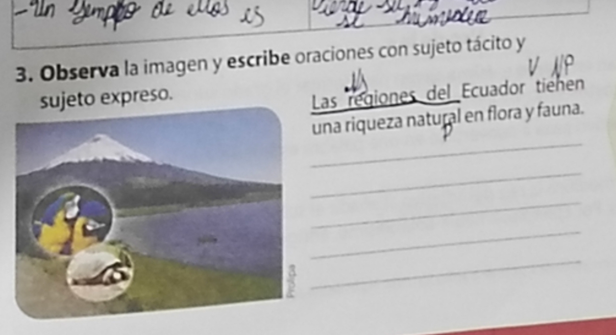 Observa la imagen y escribe oraciones con sujeto tácito y 
jeto expreso. 
as regiones del Ecuador tienen 
_ 
na riqueza natural en flora y fauna. 
_ 
_ 
_ 
_