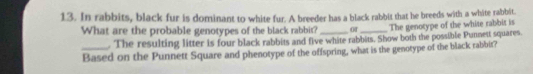 In rabbits, black fur is dominant to white fur. A breeder has a black rabbit that he breeds with a white rabbit. 
What are the probable genotypes of the black rabbit? _Of_ The genotype of the white rabbit is 
. The resulting litter is four black rabbits and five white rabbits. Show both the possible Punnett squares. 
_Based on the Punnett Square and phenotype of the offspring, what is the genotype of the black rabbit?