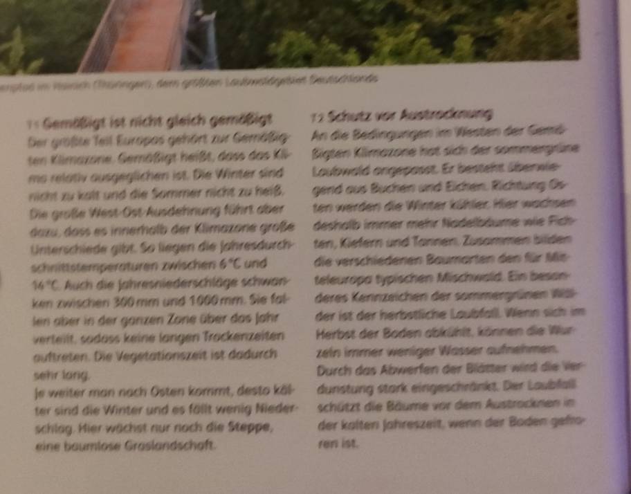 enpted im Haiich (Tünngen), dem größten Lautwsldgeblet Deutschlande
== Gemößigt ist nicht gleich gemößigt 12 Schutz vor Austrocknung
Der größte Teil Europas gehört zur Gemößig An die Bedingungen im Westen der Gemö
ten Klimazone, Gemäßigt heißt, dass das K- Bigten Klimazone hat sich der sommergrüne
ms relatlv ausgeglichen ist. Die Winter sind Laubwold ongeposst. Er besteht überwie-
nicht zu kalt und die Sommer nicht zu heiß. gend aus Buchen und Eichen. Richtung Os
Die große West-Ost-Ausdehnung führt aber ten werden die Winter kühler. Hier wachsen
dazu, dass es innerhalb der Klimazone große deshalb immer mehr Nadelbäume wie Fich 
Unterschiede gibt. So liegen die Jahresdurch ten, Kiefern und Tannen. Zusammen bilden
schnittstemperäturen zwischen 6°C und die verschiedenen Baumarten den für Mis
14°C Auch die Jahresniederschläge schwan teleuropa typischen Mischwold. Ein beson
ken zwischen 300 mm und 1000 mm. Sie fal- deres Kennzeichen der sommergrünen WS
len aber in der ganzen Zone über das Jahr der ist der herbstliche Laubfall. Wenn sich im
verteilt. sädöss keine längen Trackenzeiten  Herbst der Boden abkühlt, können die Wur
auftreten. Die Vegetationszeit ist dadurch zein immer weniger Wasser aufnehmen.
sehr lang. Durch das Abwerfen der Blätter wird die Ve
Je weiter man nach Östen kommt, desto käl- dunstung stark eingeschränkt. Der Laubfall
ter sind die Winter und es fällt wenig Nieder- schützt die Bäume vor dem Austrocknen in
schlag. Hier wächst nur noch die Steppe, der költen Jahreszeit, wenn der Boden gehö
eine baumlose Graslandschaft. ren ist.