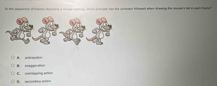 In the sequence of frames depicting a mouse walking, which principle has the animator followed when drawing the mouse's tail in each brame?
A. anticipation
B. exaggeration
C. overlapping action
D. secondary action