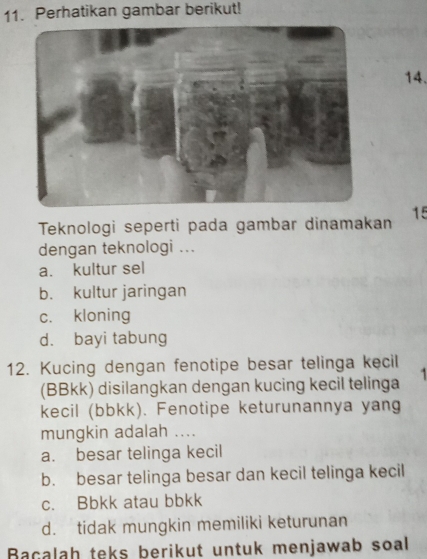 Perhatikan gambar berikut!
14.
15
Teknologi seperti pada gambar dinamakan
dengan teknologi ...
a. kultur sel
b. kultur jaringan
c. kloning
d. bayi tabung
12. Kucing dengan fenotipe besar telinga kecil
(BBkk) disilangkan dengan kucing kecil telinga
kecil (bbkk). Fenotipe keturunannya yang
mungkin adalah ....
a. besar telinga kecil
b. besar telinga besar dan kecil telinga kecil
c. Bbkk atau bbkk
d. tidak mungkin memiliki keturunan
Bacalah teks berikut untuk menjawab soal