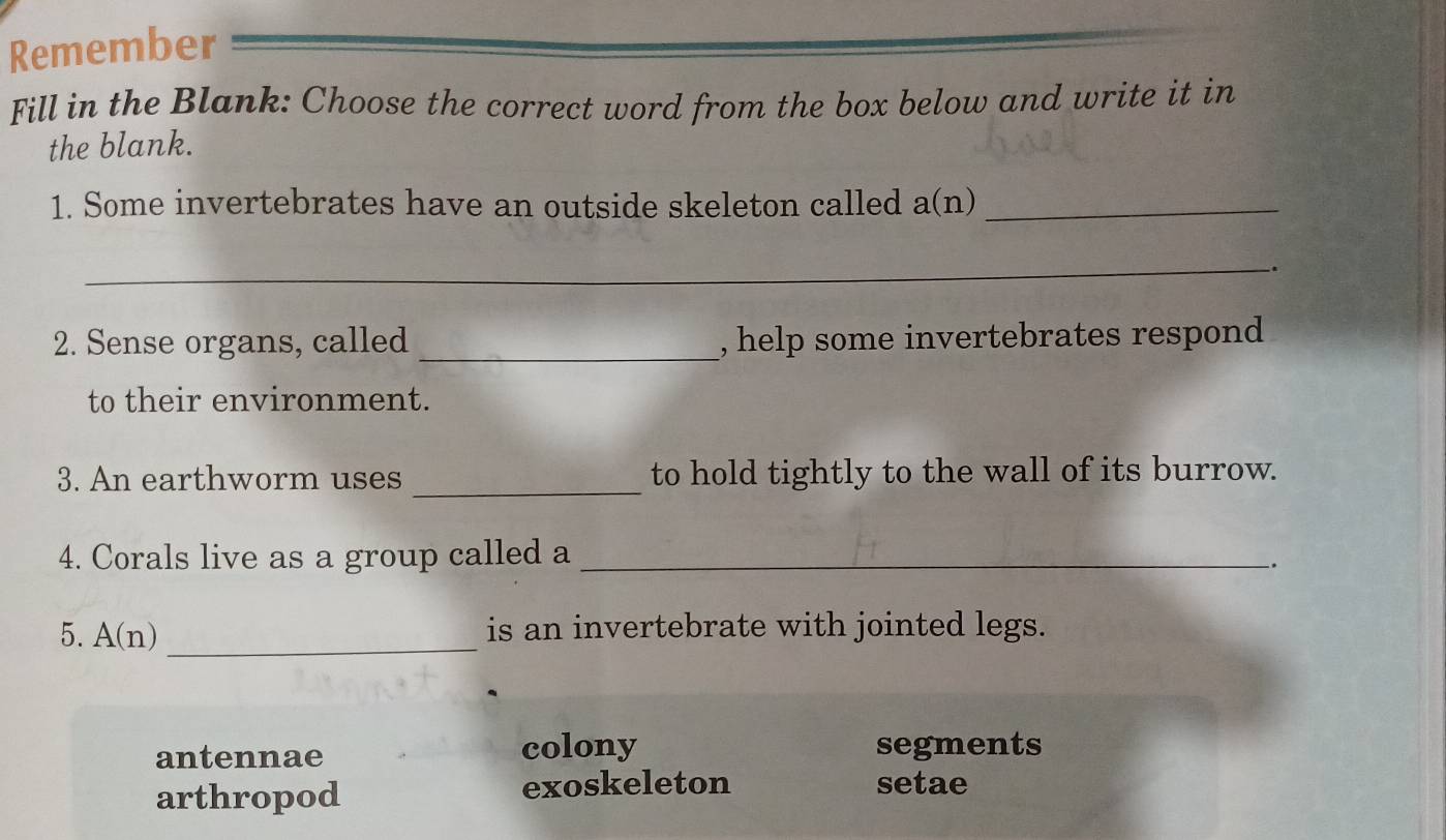 Remember
Fill in the Blank: Choose the correct word from the box below and write it in
the blank.
1. Some invertebrates have an outside skeleton called a(n)_
_
.
2. Sense organs, called _, help some invertebrates respond
to their environment.
3. An earthworm uses _to hold tightly to the wall of its burrow.
4. Corals live as a group called a_
.
5. A(r _is an invertebrate with jointed legs.
antennae colony segments
arthropod exoskeleton setae