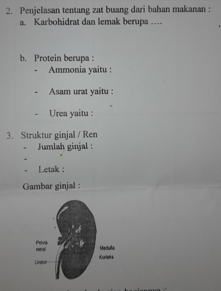 Penjelasan tentang zat buang dari bahan makanan : 
a. Karbohidrat dan lemak berupa … 
b. Protein berupa : 
Ammonia yaitu : 
Asam urat yaitu : 
Urea yaitu : 
3. Struktur ginjal / Ren 
Jumlah ginjal : 
Letak : 
Gambar ginjal :