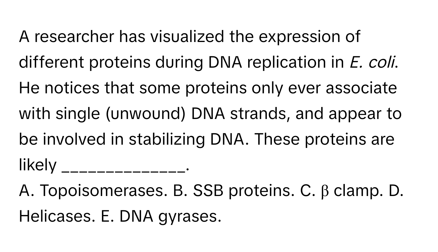 A researcher has visualized the expression of different proteins during DNA replication in *E. coli*. He notices that some proteins only ever associate with single (unwound) DNA strands, and appear to be involved in stabilizing DNA. These proteins are likely ______________.

A. Topoisomerases. B. SSB proteins. C. β clamp. D. Helicases. E. DNA gyrases.