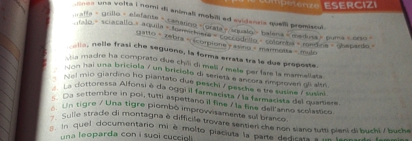 Competenze ESERCIZI 
olinea una volta i nomi di animali mobili ed evidenzia quelli promiscul. 
raffa = grillo = elefante » canarino «(orata= squalo - balena = medusa » puma