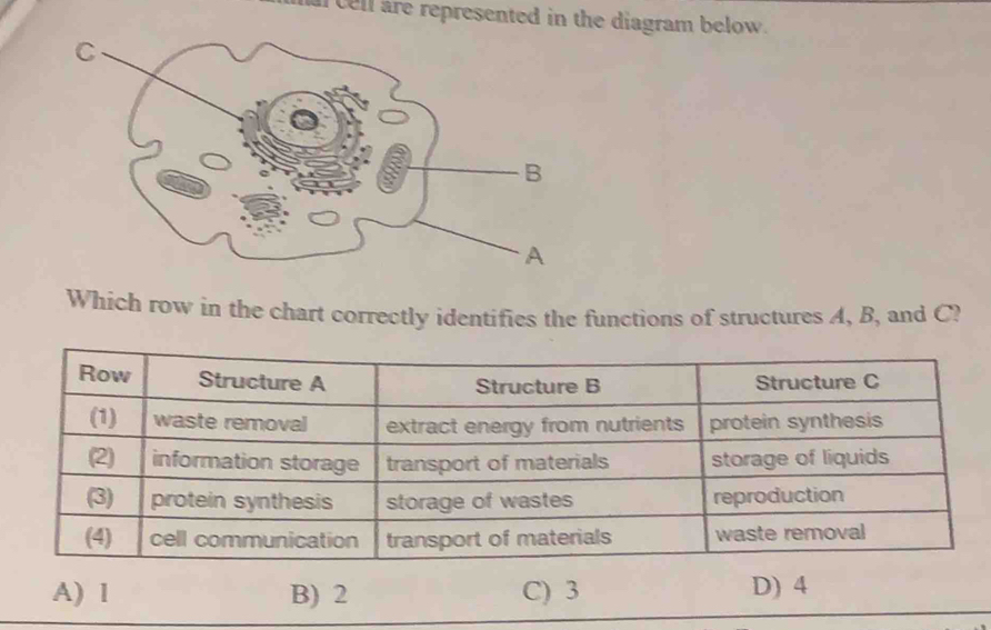 macell are represented in the diagram below.
Which row in the chart correctly identifies the functions of structures A, B, and C?
A) 1 B) 2 C) 3 D) 4