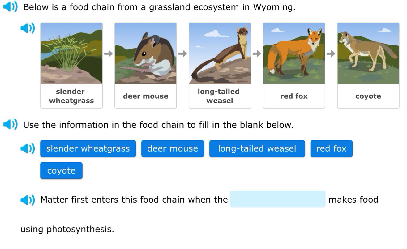 Below is a food chain from a grassland ecosystem in Wyoming.
slender long-tailed
wheatgrass deer mouse
weasel
red fox coyote
Use the information in the food chain to fill in the blank below.
slender wheatgrass deer mouse long-tailed weasel red fox
coyote
Matter first enters this food chain when the makes food
using photosynthesis.