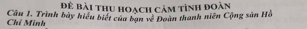 đề Bài thU hoạch cảm tình đoàn 
Câu 1. Trình bày hiểu biết của bạn về Đoàn thanh niên Cộng sản Hồ 
Chí Minh