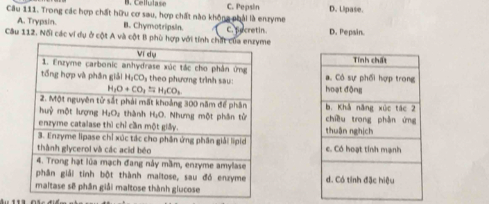 B. Cellulase C. Pepsin D. Lipase.
Câu 111. Trong các hợp chất hữu cơ sau, hợp chất nào không phải là enzyme
A. Trypsin. B. Chymotripsin. C. Secretin.
Câu 112. Nối các ví dụ ở cột A và cột B phù hợp v D. Pepsin.