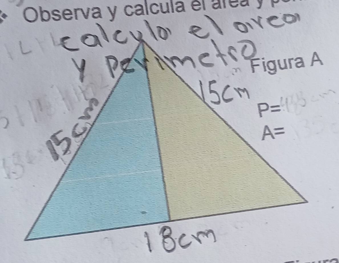 Observa y calcula él área y