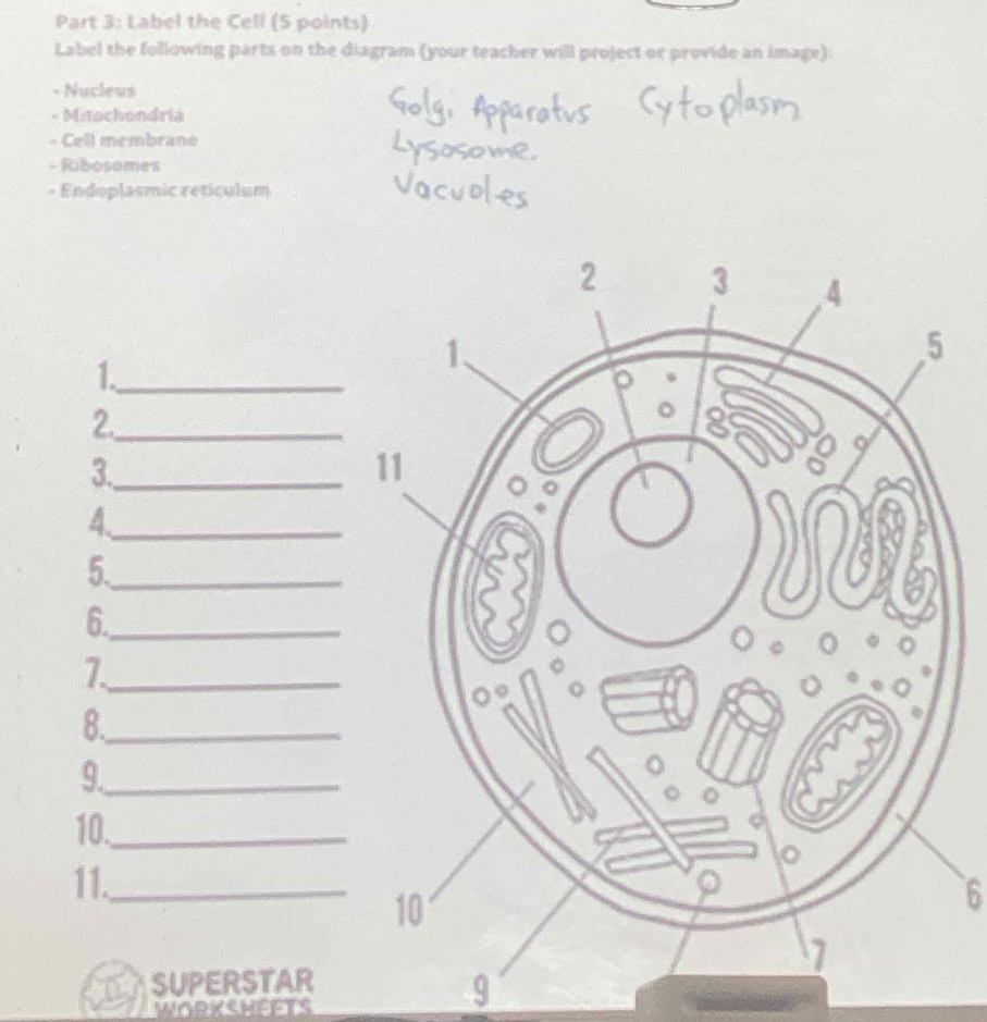 Solved: Label the Cell (5 points) Label the following parts on the ...