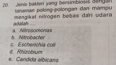 Jenis bakteri yang bersimbiosis dengan
tanaman polong-polongan dan mampu
mengikat nitrogen bebas dari udara
adalah ....
a. Nitrosomonas
b. Nitrobacter
c. Escherichia coli
d. Rhizobium
e. Candida albicans