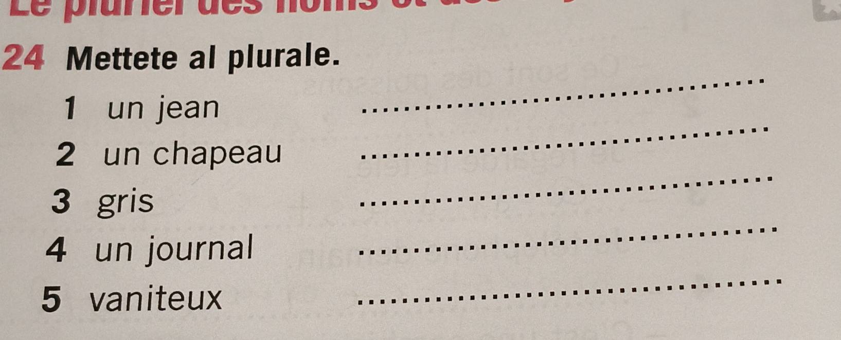 Le plurier des no 
_
24 Mettete al plurale. 
_ 
1 un jean 
_ 
2 un chapeau 
_ 
3 gris 
_ 
4 un journal 
5 vaniteux