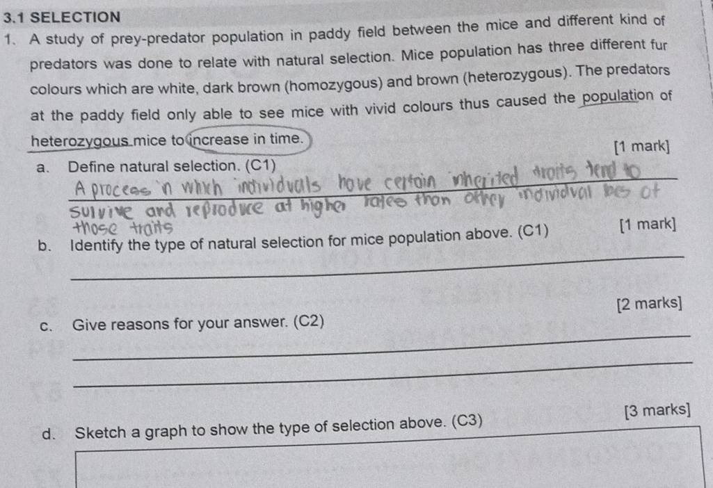 3.1 SELECTION 
1. A study of prey-predator population in paddy field between the mice and different kind of 
predators was done to relate with natural selection. Mice population has three different fur 
colours which are white, dark brown (homozygous) and brown (heterozygous). The predators 
at the paddy field only able to see mice with vivid colours thus caused the population of 
heterozygous mice to increase in time. 
[1 mark] 
_ 
_ 
a. Define natural selection. (C1) 
_ 
b. Identify the type of natural selection for mice population above. (C1) [1 mark] 
_ 
c. Give reasons for your answer. (C2) [2 marks] 
_ 
d. Sketch a graph to show the type of selection above. (C3) [3 marks]