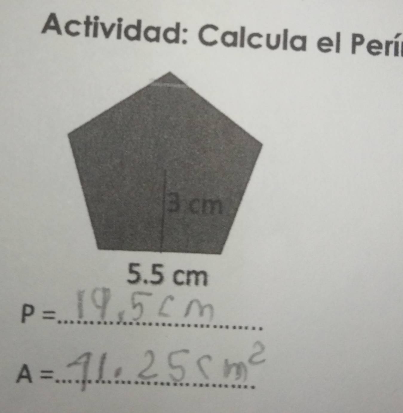 Actividad: Calcula el Perí
P= _
A= _