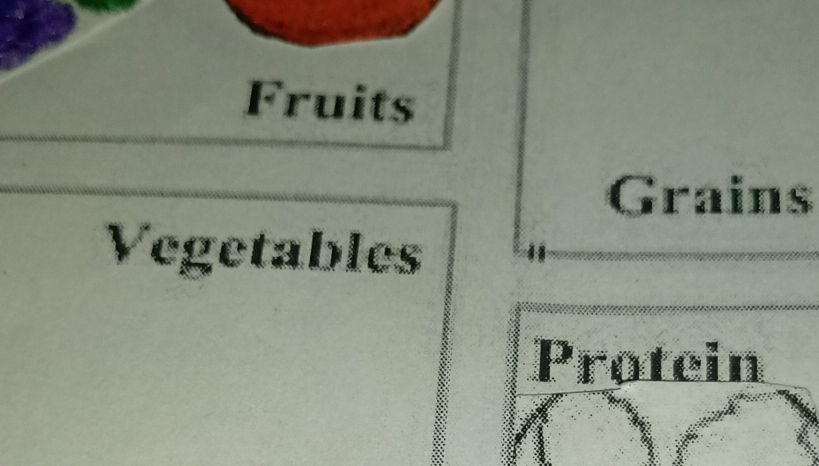 Fruits 
Grains 
Vegetables 
Protein