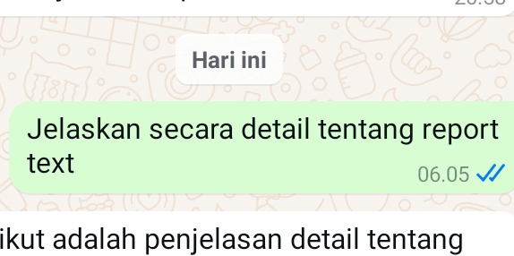 Hari ini 
Jelaskan secara detail tentang report 
text 06.05
ikut adalah penjelasan detail tentang