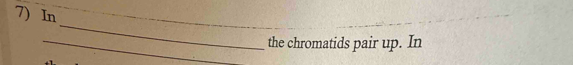 In 
_ 
_the chromatids pair up. In