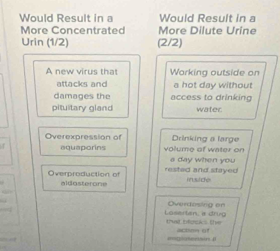 Would Result in a Would Result in a 
More Concentrated More Dilute Urine 
Urin (1/2) (2/2) 
A new virus that Working outside on 
attacks and a hot day without 
damages the access to drinking 
pituitary gland water. 
Overexpression of Drinking a large 
aquaporins volume of water on
a day when you 
Overproduction of rested and stayed 
aldosterone 
inside 
Overdosing on 
Losertan, a drug 
that blecks the 
action of 
engiatenain [