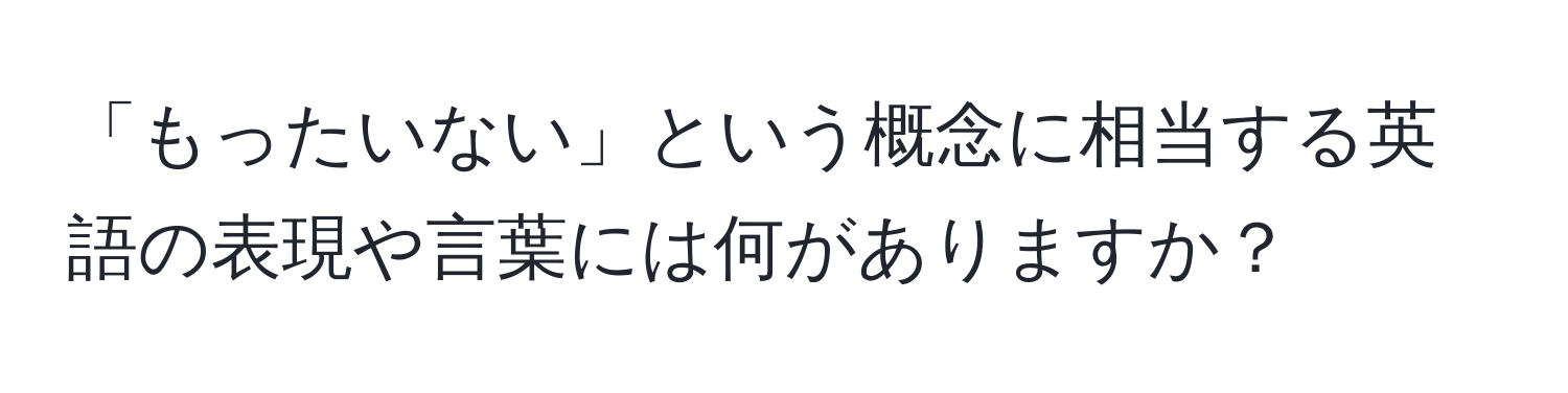 「もったいない」という概念に相当する英語の表現や言葉には何がありますか？