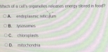 Which of a cell's organelies releases energy stored in food?
A. endoplasmic reficuluí
B. lysosomes
C. chloroplash
D. mitochondria