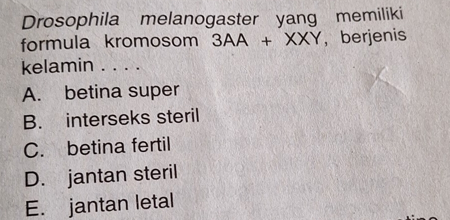 Drosophila melanogaster yang memiliki
formula kromosom 3AA+XXY ， berjenis
kelamin . . . .
A. betina super
B. interseks steril
C. betina fertil
D. jantan steril
E. jantan letal