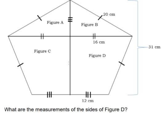 31 cm