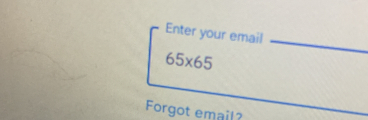 Enter your email
65* 65
Forgot email?