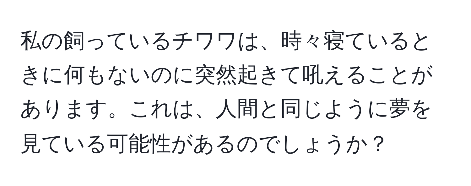 私の飼っているチワワは、時々寝ているときに何もないのに突然起きて吼えることがあります。これは、人間と同じように夢を見ている可能性があるのでしょうか？