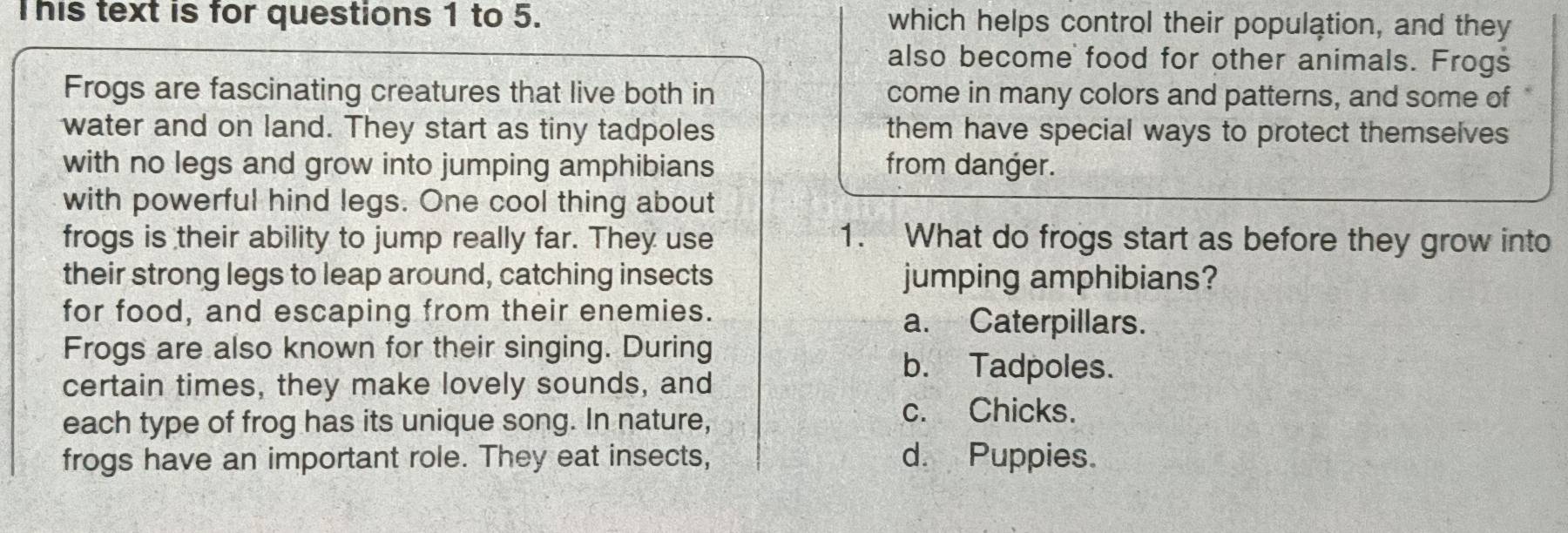 This text is for questions 1 to 5. which helps control their population, and they
also become food for other animals. Frogs
Frogs are fascinating creatures that live both in come in many colors and patterns, and some of
water and on land. They start as tiny tadpoles them have special ways to protect themselves
with no legs and grow into jumping amphibians from danger.
with powerful hind legs. One cool thing about
frogs is their ability to jump really far. They use 1. What do frogs start as before they grow into
their strong legs to leap around, catching insects jumping amphibians?
for food, and escaping from their enemies. a. Caterpillars.
Frogs are also known for their singing. During
certain times, they make lovely sounds, and
b. Tadpoles.
each type of frog has its unique song. In nature,
c. Chicks.
frogs have an important role. They eat insects, d. Puppies.