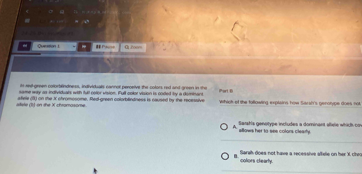 reat n 0. mn

24-25 Ga intern #1
4 Question 1 ## Pause Q Zoem
In red-green colorblindness, individuals cannot perceive the colors red and green in the
same way as individuals with full color vision. Full color vision is coded by a dominant Part B
allele (B) on the X chromosome. Red-green colorblindness is caused by the recessive Which of the following explains how Sarah's genotype does not
allele (b) on the X chromosome.
A. Sarah's genotype includes a dominant allele which co
allows her to see colors clearly.
B. Sarah does not have a recessive allele on her X chro
colors clearly.