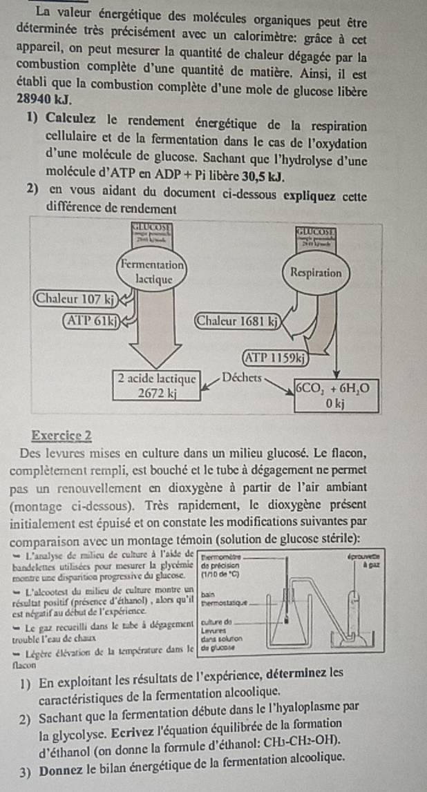 La valeur énergétique des molécules organiques peut être
déterminée très précisément avec un calorimètre: grâce à cet
appareil, on peut mesurer la quantité de chaleur dégagée par la
combustion complète d'une quantité de matière. Ainsi, il est
établi que la combustion complète d'une mole de glucose libère
28940 kJ.
1) Calculez le rendement énergétique de la respiration
cellulaire et de la fermentation dans le cas de l'oxydation
d'une molécule de glucose. Sachant que l'hydrolyse d'une
molécule d'ATP en ADP+Pi libère 30,5 kJ.
2) en vous aidant du document ci-dessous expliquez cette
différence de rendement
Exercice 2
Des levures mises en culture dans un milieu glucosé. Le flacon,
complètement rempli, est bouché et le tube à dégagement ne permet
pas un renouvellement en dioxygène à partir de l'air ambiant
(montage ci-dessous). Très rapidement, le dioxygène présent
initialement est épuisé et on constate les modifications suivantes par
comparaison avec un montage témoin (solution de glucose stérile):
-  L'analyse de milieu de culture à l'aide
bandelettes utilisées pour mesurer la glycém
montre une disparition progressive du glucose
L'alcootest du milieu de culture montre
résultat positif (présence d'éthanol) , alors qu
est négatif au début de l'expérience.
Le gaz recueilli dans le tabe à dégagem
trouble l'eau de chaux 
* Légère élévation de la température dans
flacon
1) En exploitant les résultats de l'expérience, déterminez les
caractéristiques de la fermentation alcoolique.
2) Sachant que la fermentation débute dans le l'hyaloplasme par
la glycolyse. Ecrivez l'équation équilibrée de la formation
d'éthanol (on donne la formule d'éthanol: CH3-CH2-OH).
3) Donnez le bilan énergétique de la fermentation alcoolique.