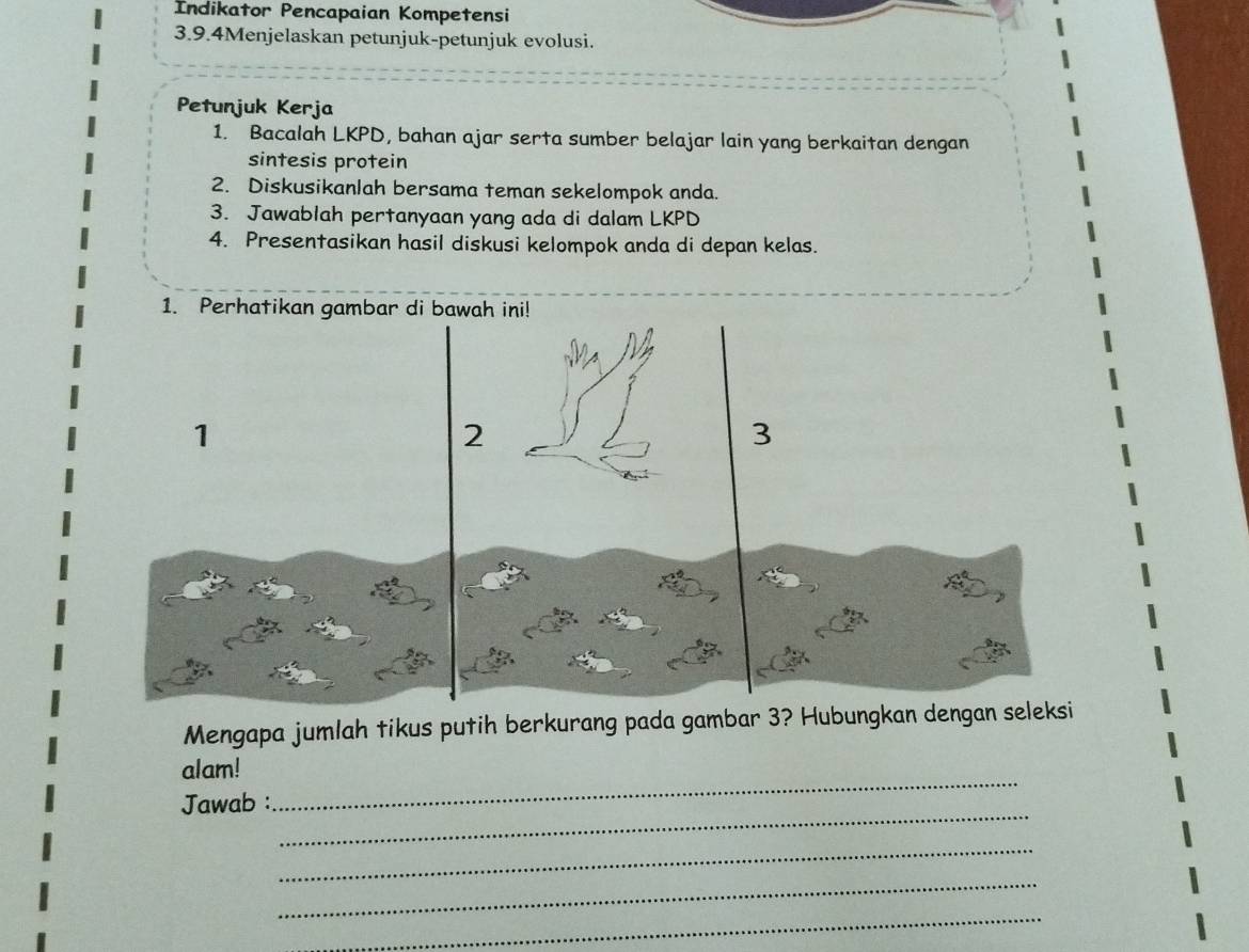 Indikator Pencapaian Kompetensi 
3.9.4Menjelaskan petunjuk-petunjuk evolusi. 
Petunjuk Kerja 
1. Bacalah LKPD, bahan ajar serta sumber belajar lain yang berkaitan dengan 
sintesis protein 
2. Diskusikanlah bersama teman sekelompok anda. 
3. Jawablah pertanyaan yang ada di dalam LKPD 
4. Presentasikan hasil diskusi kelompok anda di depan kelas. 
Mengapa jumlah tikus putih berkurang pada gambar 
_ 
alam! 
_ 
Jawab : 
_ 
_ 
_