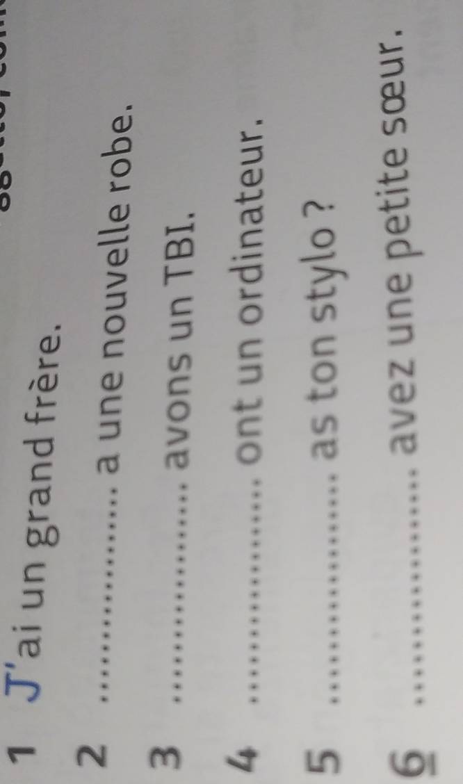 J'ai un grand frère. 
_2 
a une nouvelle robe. 
_3 
avons un TBI. 
4 _ont un ordinateur. 
5 _as ton stylo ? 
6 _avez une petite sœur.