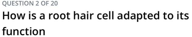 OF 20 
How is a root hair cell adapted to its 
function