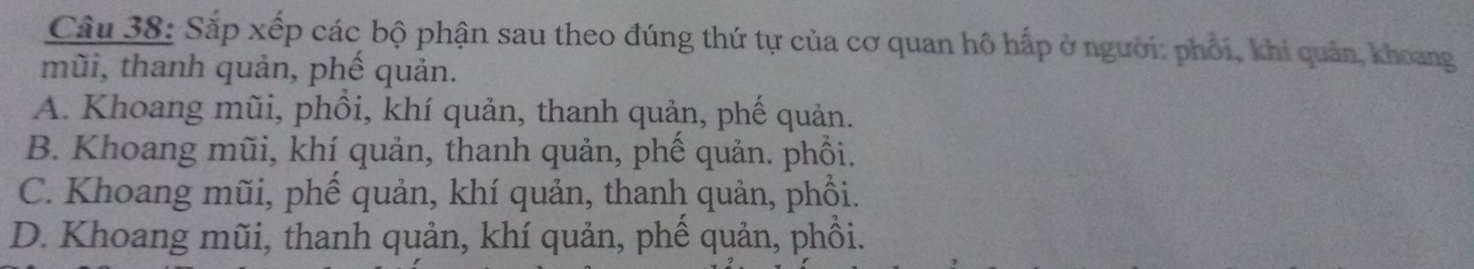 Sắp xếp các bộ phận sau theo đúng thứ tự của cơ quan hô hấp ở người: phối, khi quản, khoang
mũi, thanh quản, phế quản.
A. Khoang mũi, phồi, khí quản, thanh quản, phế quản.
B. Khoang mũi, khí quản, thanh quản, phế quản. phối.
C. Khoang mũi, phế quản, khí quản, thanh quản, phổi.
D. Khoang mũi, thanh quản, khí quản, phế quản, phồi.