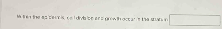 Within the epidermis, cell division and growth occur in the stratum □ □  □