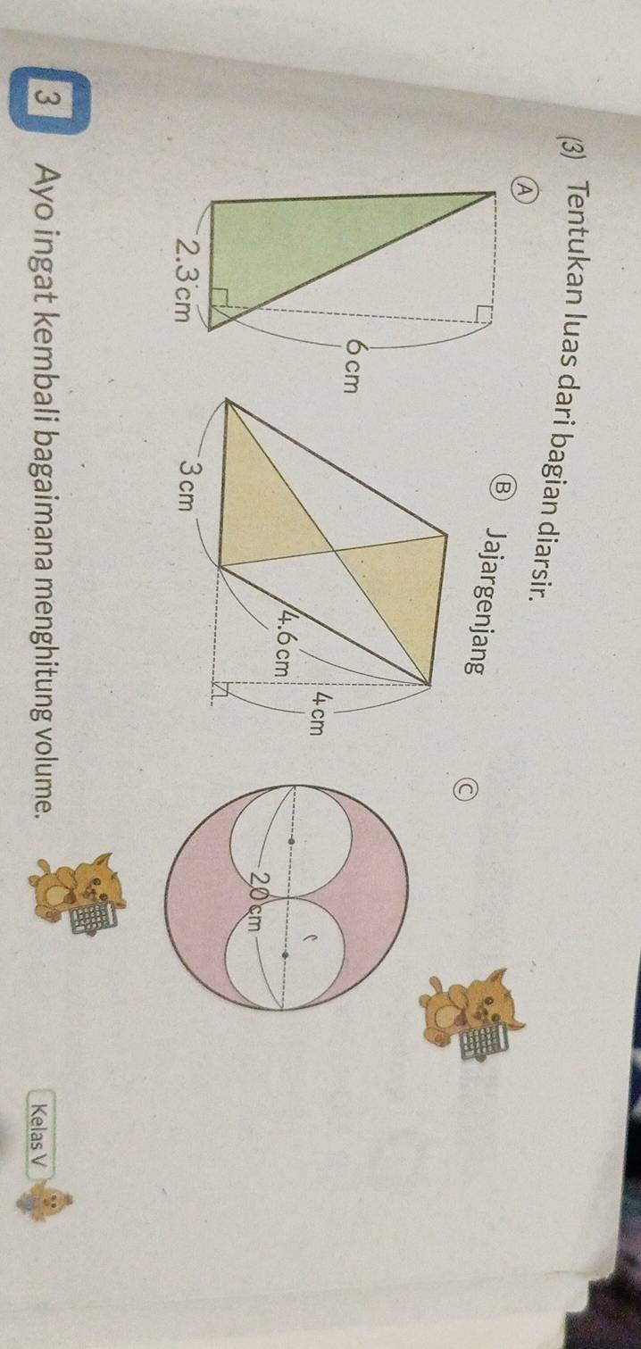 (3) Tentukan luas dari bagian diarsir.
Ⓑ Jajargenjang
C
3_ Ayo ingat kembali bagaimana menghitung volume. Kelas V
